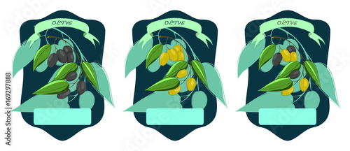 Label for olives, hand drawn templates for olives packaging. Green design, sketch for olive series green, black, mix olives, natural cosmetics, health care products, with place for text. Vector AI10.
