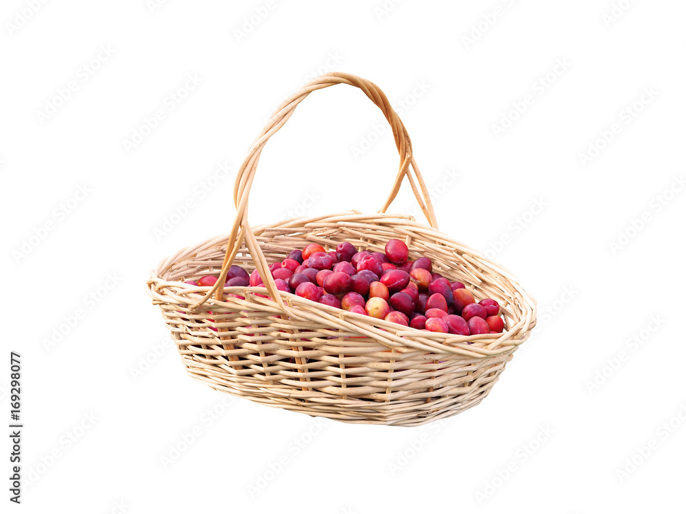 Wicker basket with collected ripe fresh organic plums isolated on a white background. Autumn still life with plums Wicker basket with collected ripe fresh organic plums isolated on a white background. Autumn still life with plums