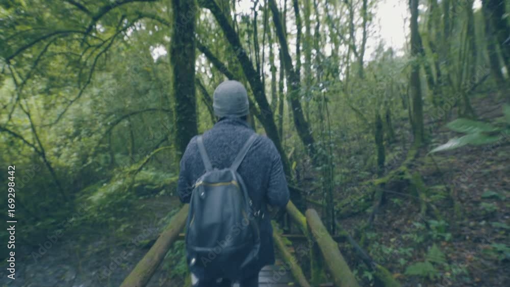 woman walking alone in a forest use a digital tablet take photo woman walking alone in a forest use a digital tablet take photo