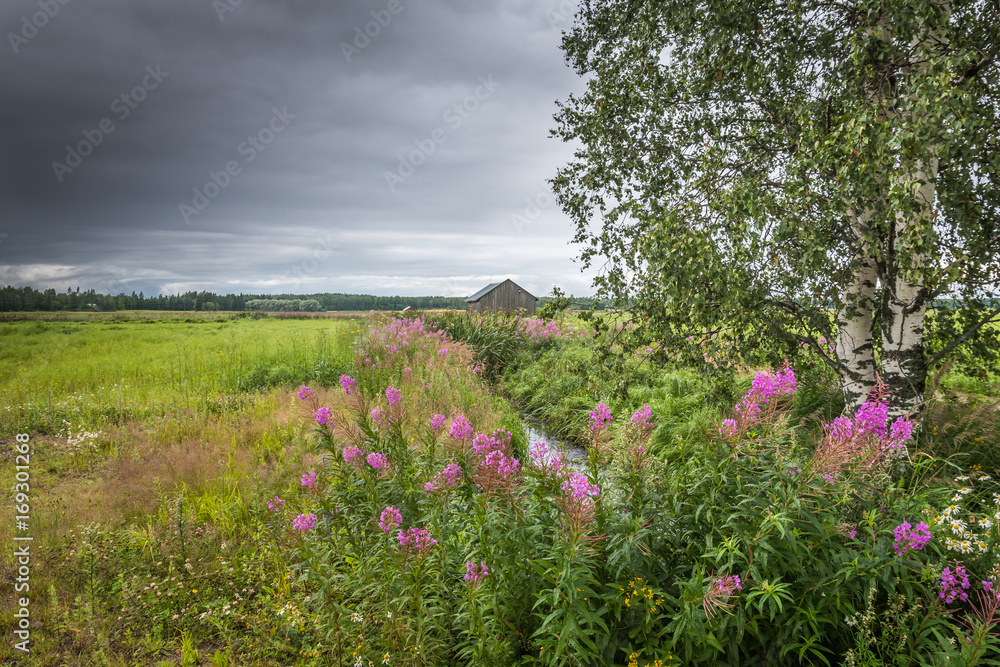 Obraz premium Country landscape