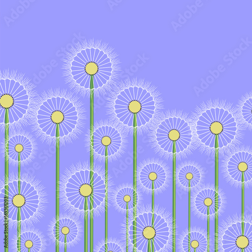 Spring Dandelion Pattern