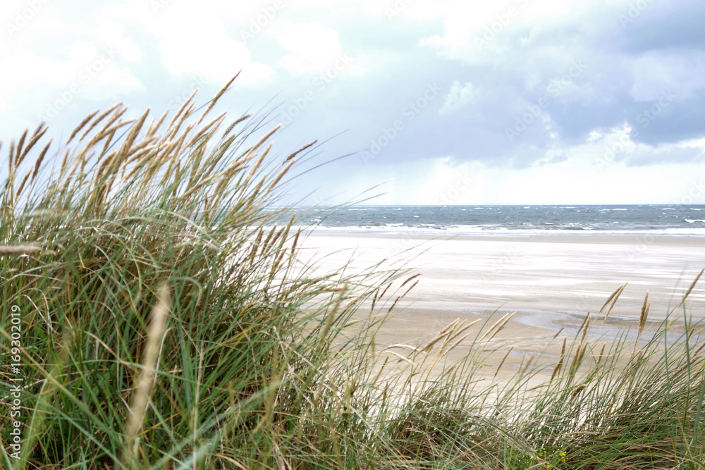 Unscharfes Dünengras im Vordergrund und Meeresstrand im Hintergrund