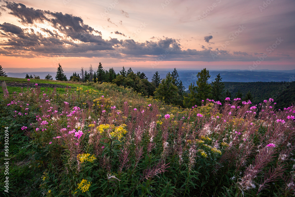 Obraz premium Sonnenuntergang auf dem Kandel, Schwarzwald