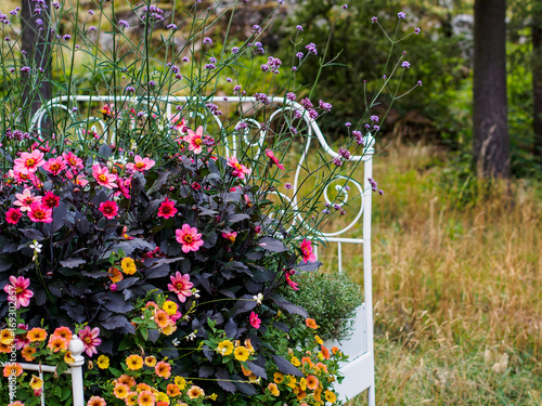 Literal bed of flowers