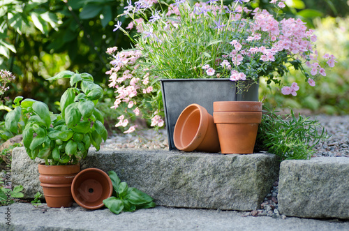 Cottage garden - beutiful flowers in pots with table and chair on the background photo