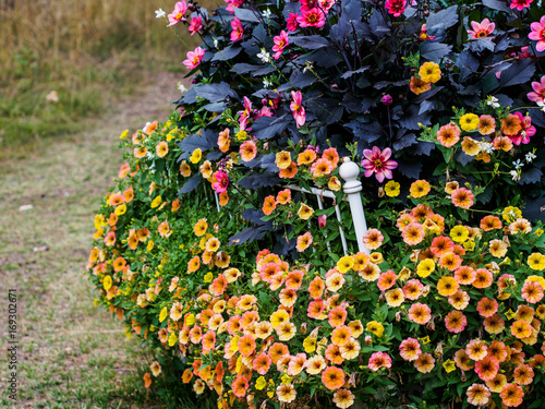Literal bed of flowers