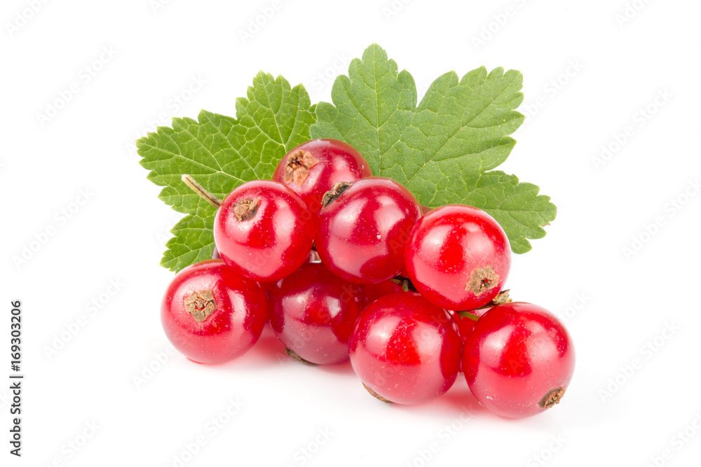 Red currant berries with leaf isolated on white background Red currant berries with leaf isolated on white background