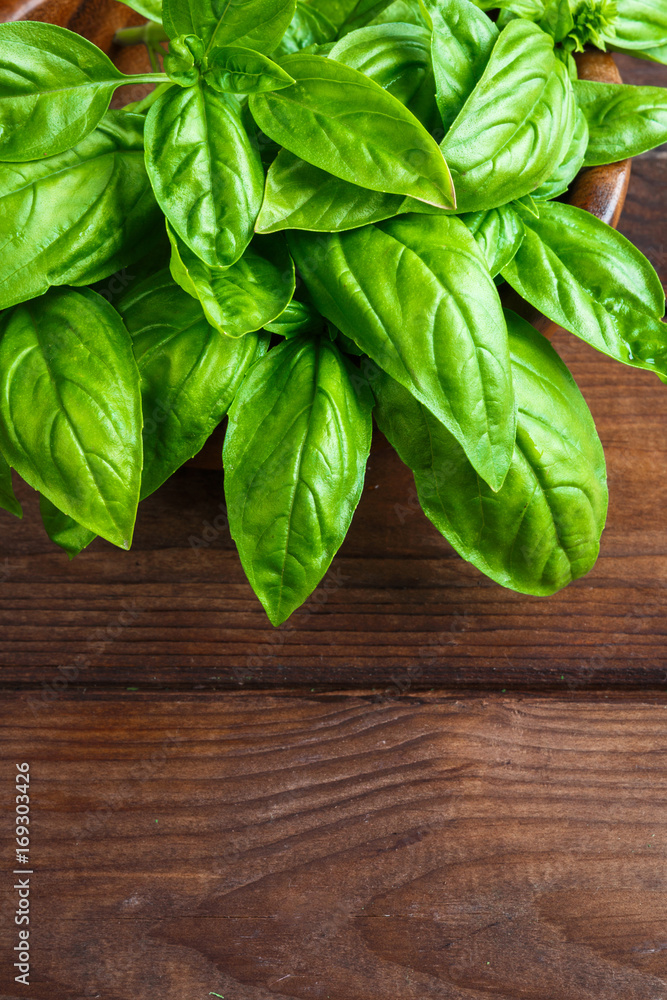 Basil fresh aromatic herb spice for italian vegetarian salads on a wooden dark background in rustic style with copy space Basil fresh aromatic herb spice for italian vegetarian salads on a wooden dark background in rustic style with copy space