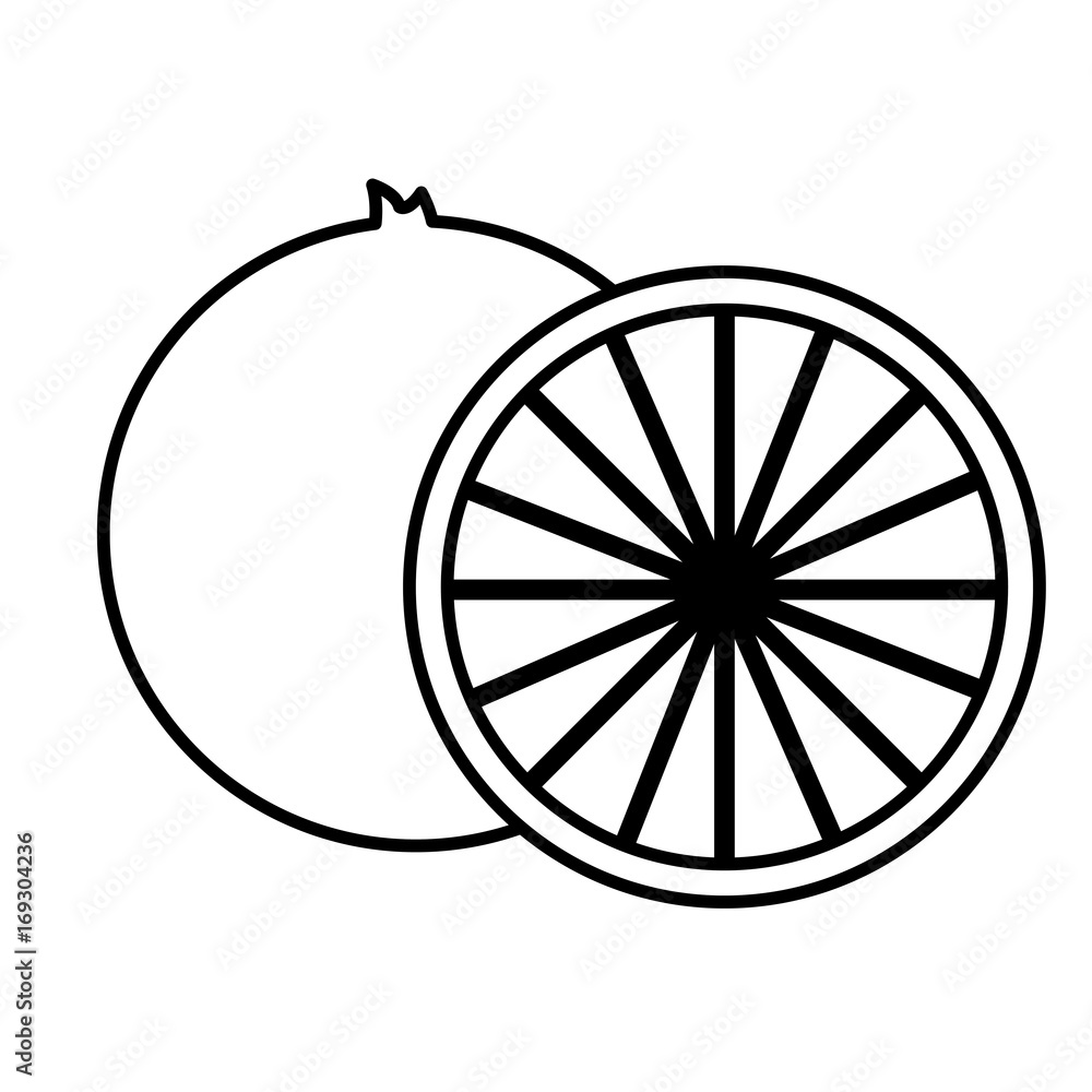 lemon slices icon over white background vector illustration