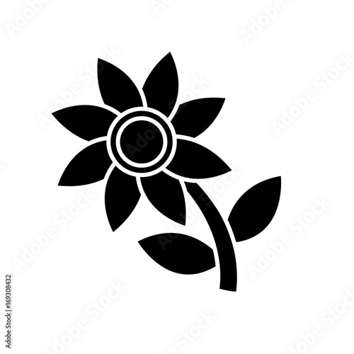 beautiful flower icon over white background vector illustration