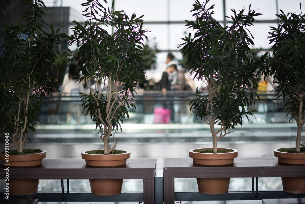 Empty departure lounge with plants at the airport Empty departure lounge with plants at the airport
