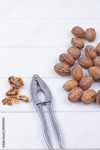 walnuts on white photo