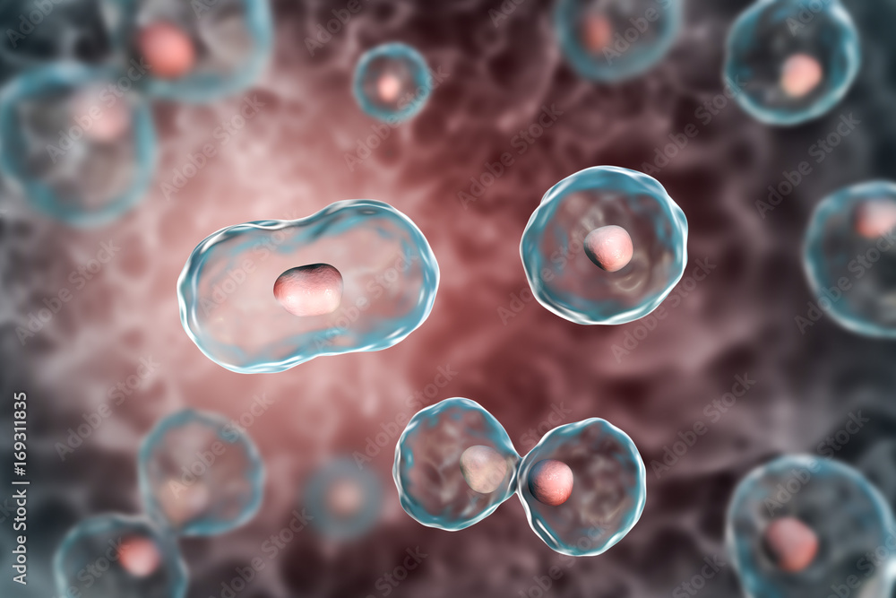 Dividing cells on colorful background, 3D illustration