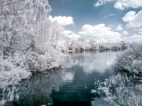 Lake White. Infrared photography