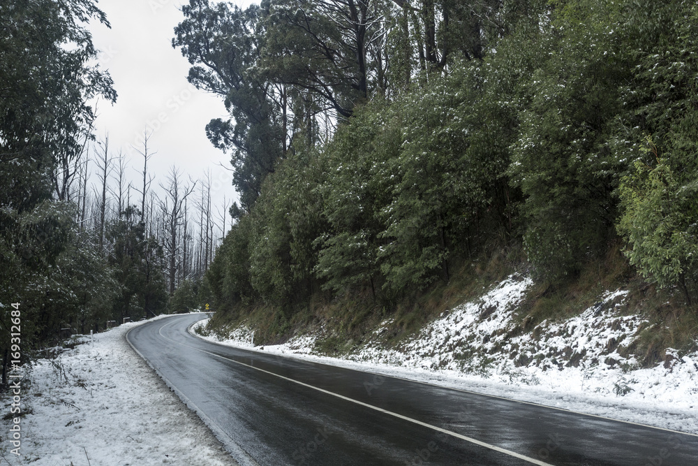Fototapeta premium Snow on Trees and Roads in Mountains