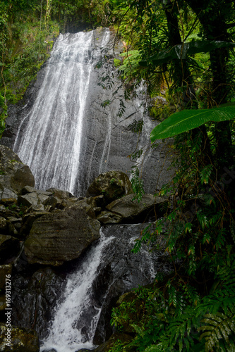 Waterfall La Coca Falls in the El Yunque national forest in Puerto Rico