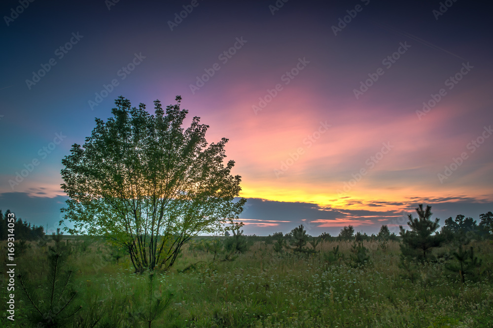 Fototapeta premium Zachód słońca w letni wieczór
