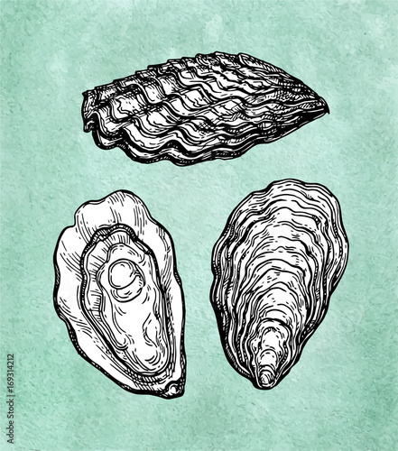 Oysters ink sketch.