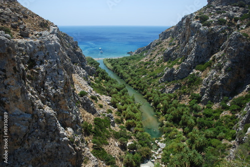 Palmeraie de la Sweet water beach Crète Grèce