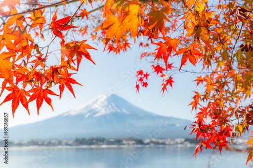 Mt. Fuji in autumn