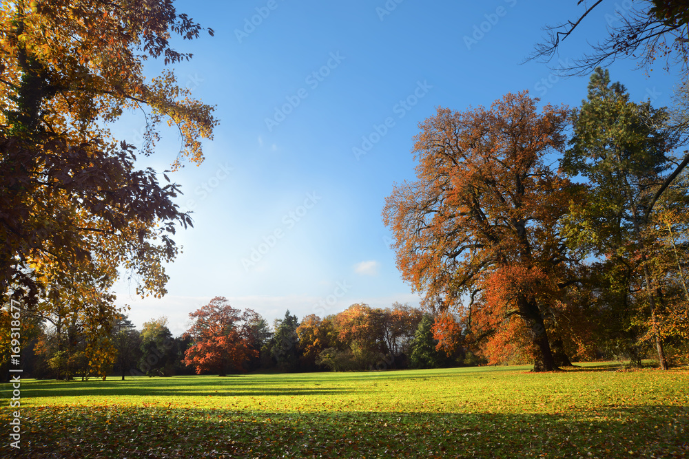 Landschaft 428 Landschaft 428