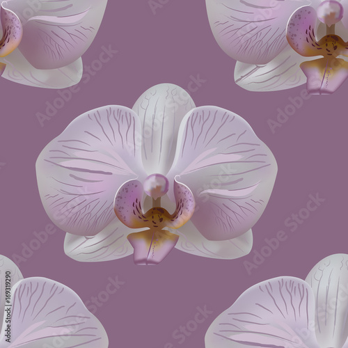 Tender orchid flower seamless pattern on pink background. Vector illustration