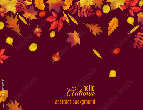 Autumn leaves isolated on dark brown background. Abstract hello Autumn background for your greeting cards design or website. Vector illustration