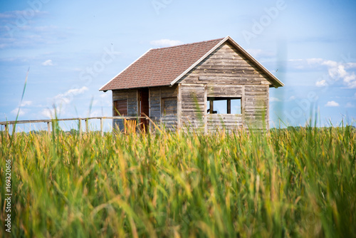 Bird watching hut © Szerdahelyi Adam