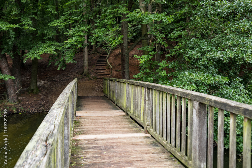 Holzbrücke im Wald