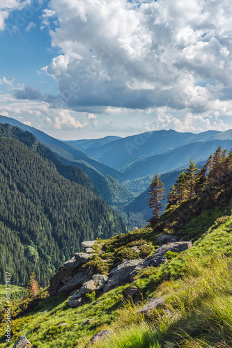 Landscape of wild nature in Carpathian mountains range, Romania