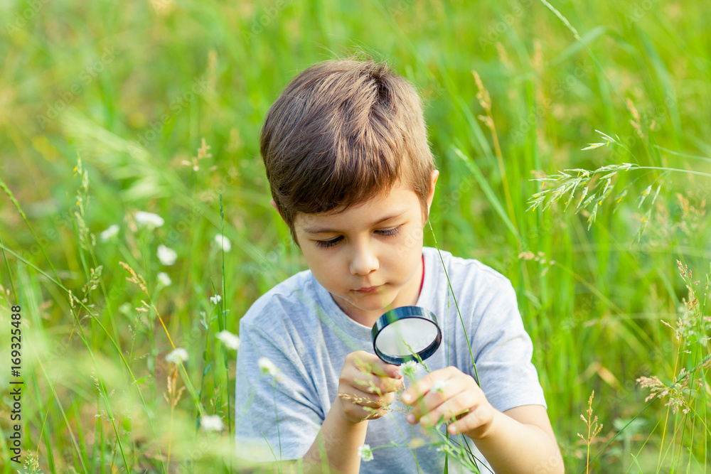 Young boy exploring nature in the meadow with a magnifying glass looking at flowers. Curious children in the woods, a future botanist. Young boy exploring nature in the meadow with a magnifying glass looking at flowers. Curious children in the woods, a future botanist.