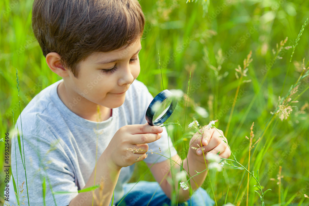 Young boy exploring nature in the meadow with a magnifying glass looking at flowers. Curious children in the woods, a future botanist. Young boy exploring nature in the meadow with a magnifying glass looking at flowers. Curious children in the woods, a future botanist.