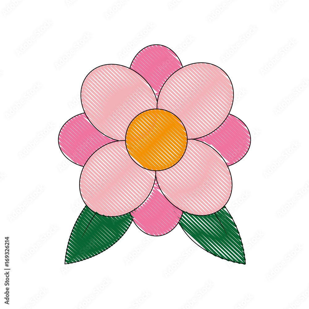 Fototapeta premium beautiful flower icon over white background vector illustration