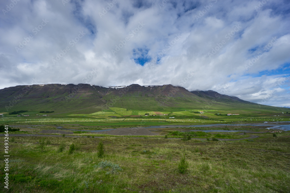 Iceland - Far flat landscape with hundreds of hay bales in harvest season Iceland - Far flat landscape with hundreds of hay bales in harvest season