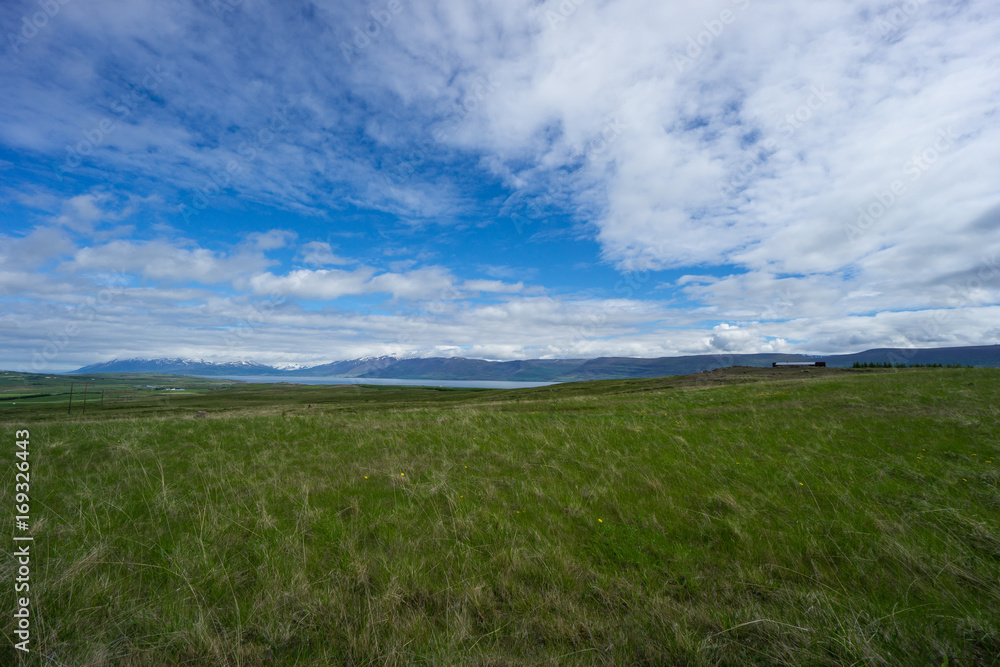 Iceland - Wide green open range with fjord before snowy mountains at blue sky