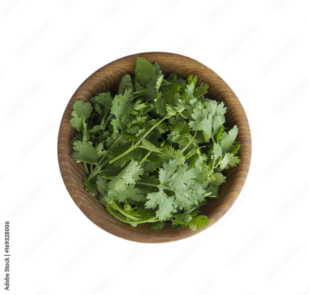 Fresh coriander leaves in wooden bowl isolated on white background. Top view. Coriander with copy space for text. Fresh coriander leaves in wooden bowl isolated on white background. Top view. Coriander with copy space for text.