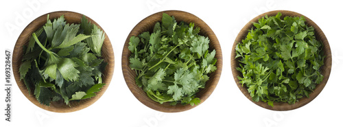 Fresh coriander, celery and cilantro leaves in wooden bowl isolated on white background. Top view. Herbs with copy space for text.