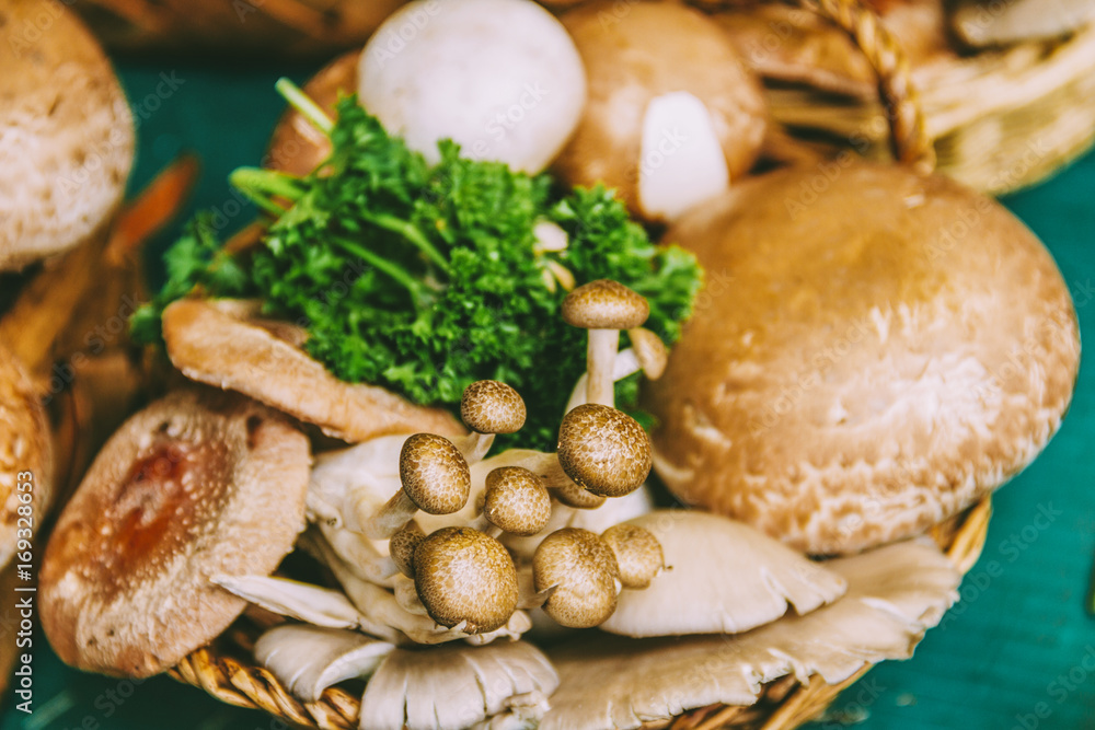 Mushrooms Mushrooms