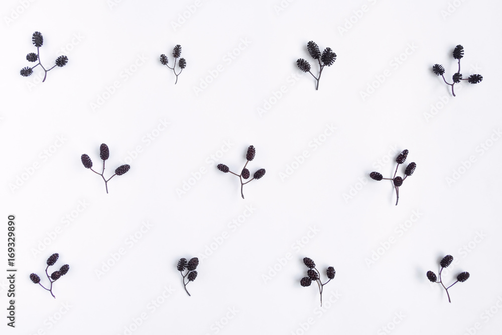 Autumn pattern of alder tree nuts seeds on white background. Top view, flat lay, view from above
