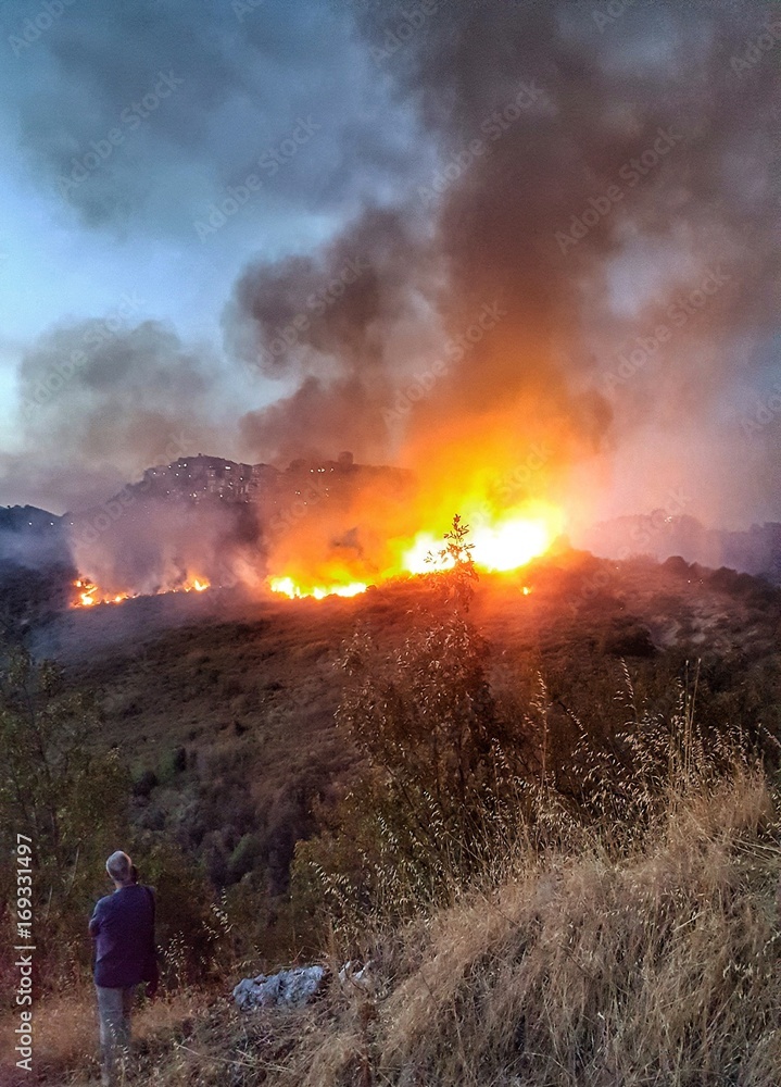 Naklejka premium Incendio boschivo