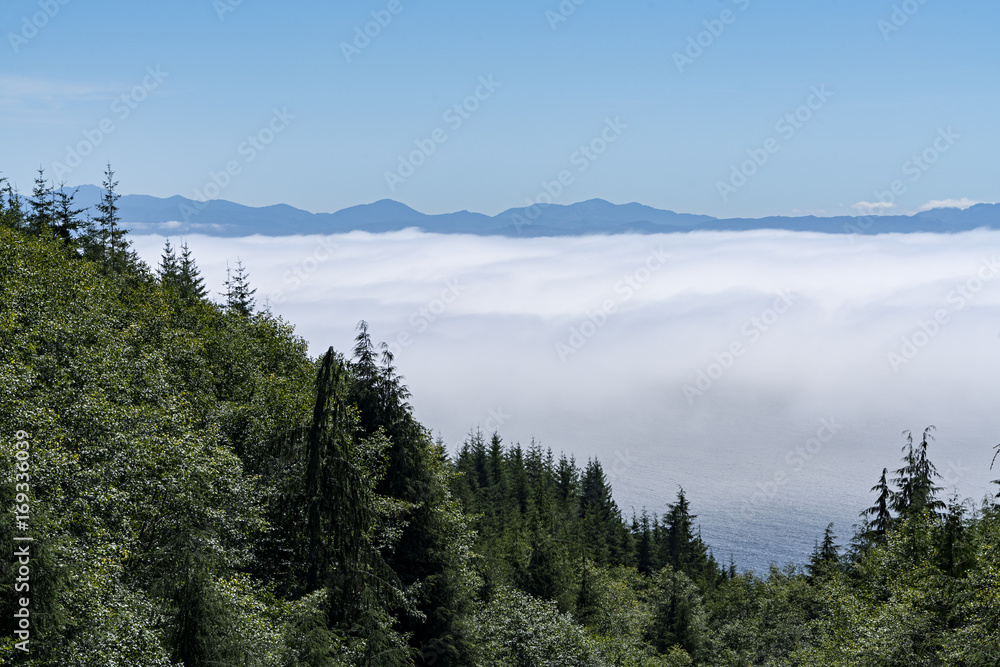 Forest, Sea, Clouds & Mountains