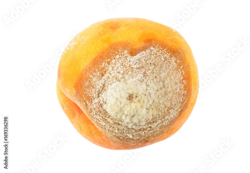 Molded peach on white