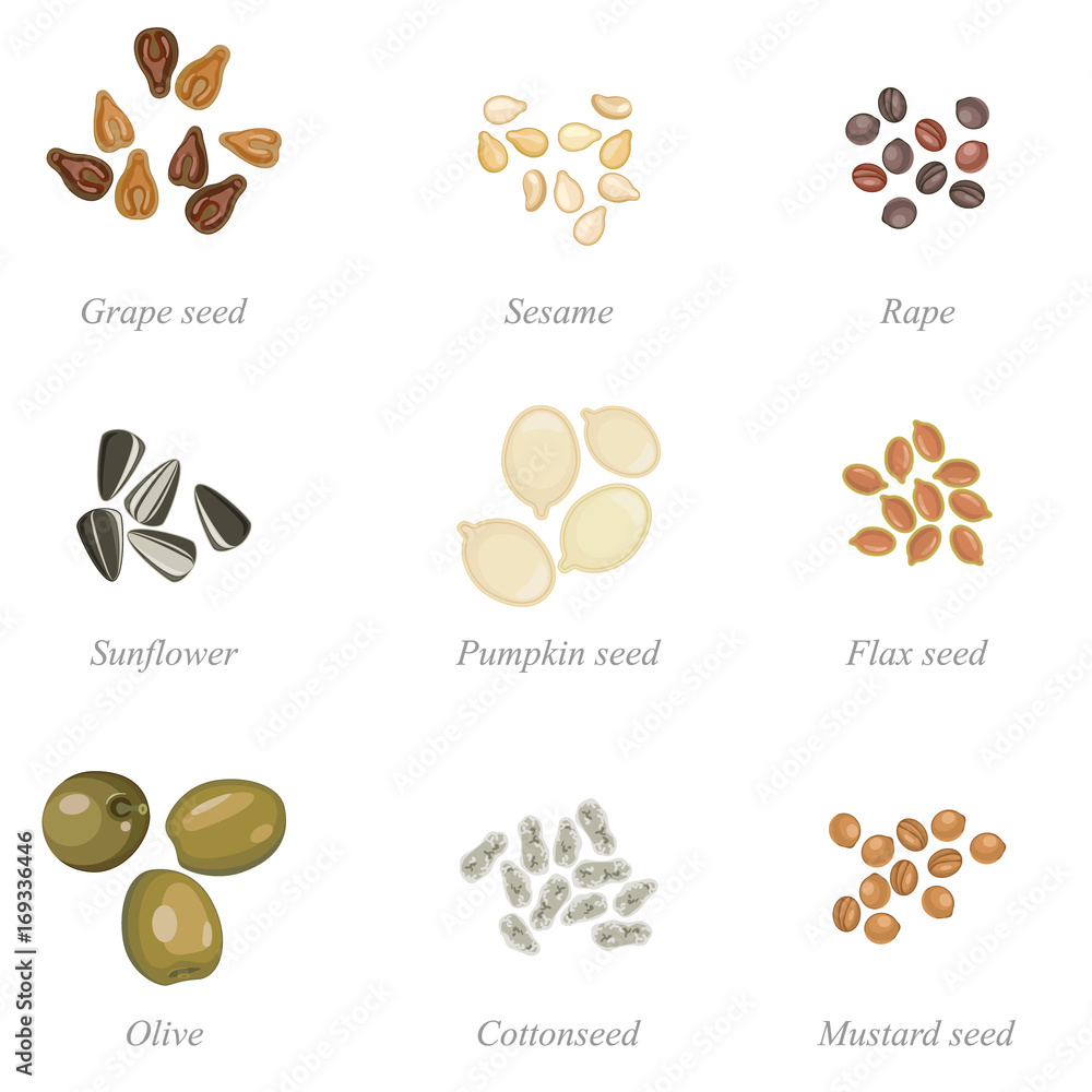 Icon set of oilseeds and oil fruits / Solid fill set of oilseeds and olives
Icon set of oilseeds and oil fruits / Solid fill set of oilseeds and olives