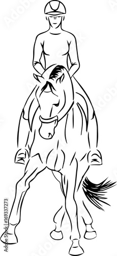 Sketch of a horse moving half-pass.