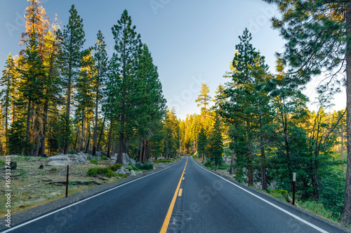 Beautiful road between the forest during sunset. at Yosemite National Park California.