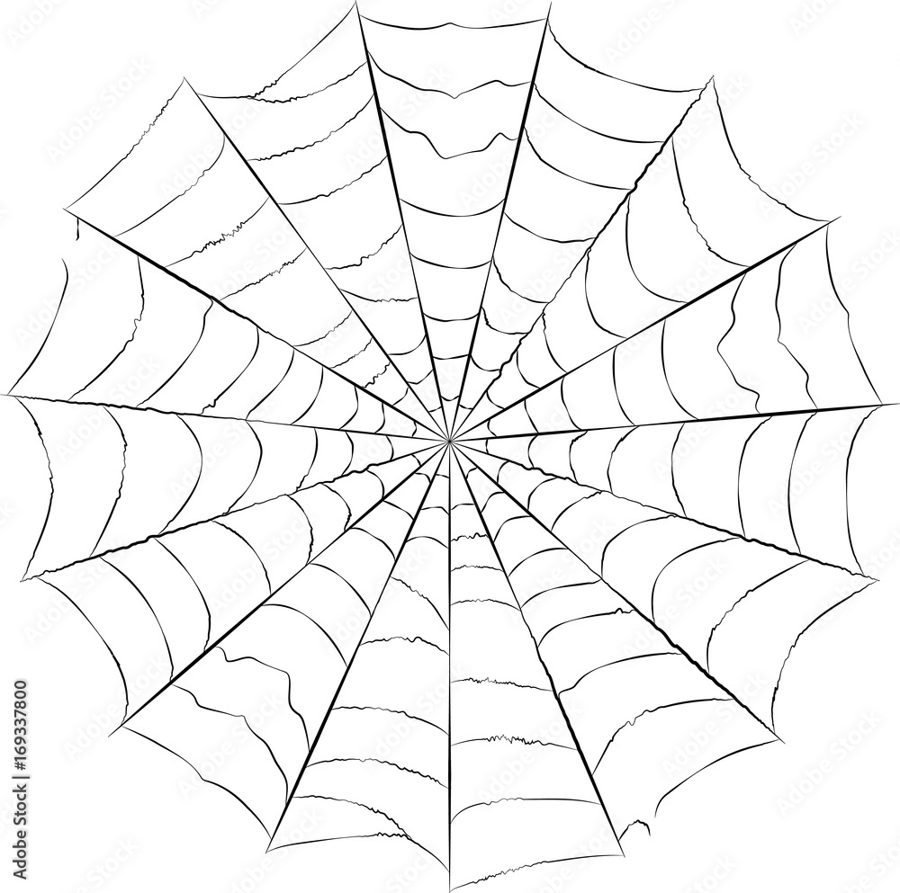 Obraz premium spider web vector isolated in white background