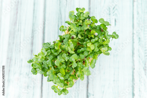 Portion of Fresh Cress (selective focus)