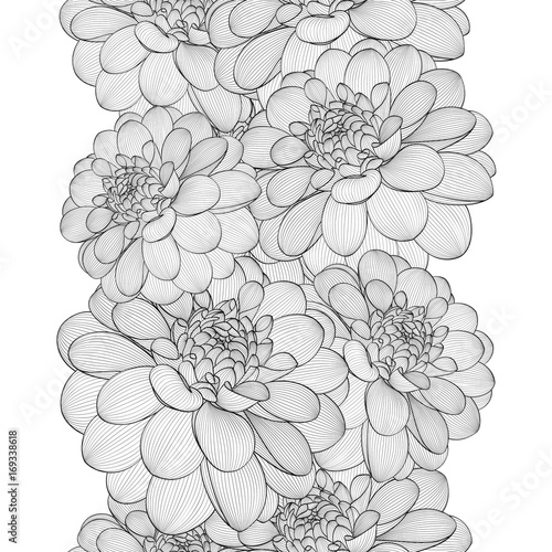Monochrome abstract seamless hand drawn floral pattern with dahlias flowers. Vector illustration. Element for design.