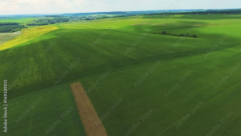 Amazing aerial view over the wheatfields, plantings and meadow Amazing aerial view over the wheatfields, plantings and meadow
