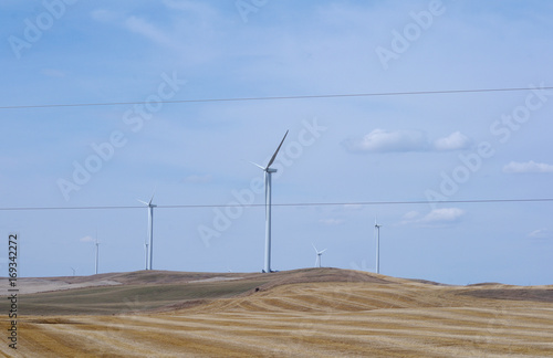 Wind turbines in field in rural Alberta